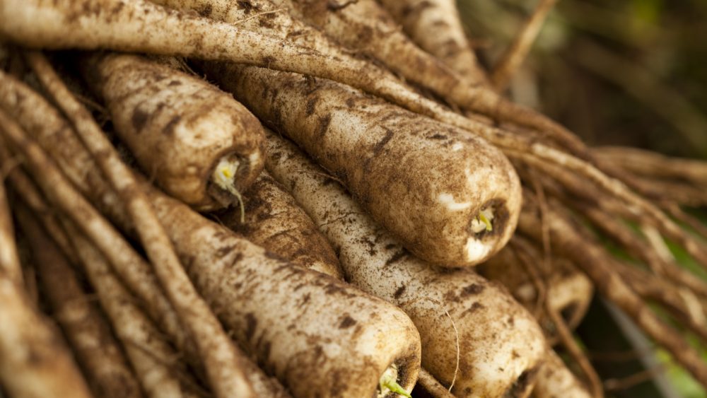 history of parsnips